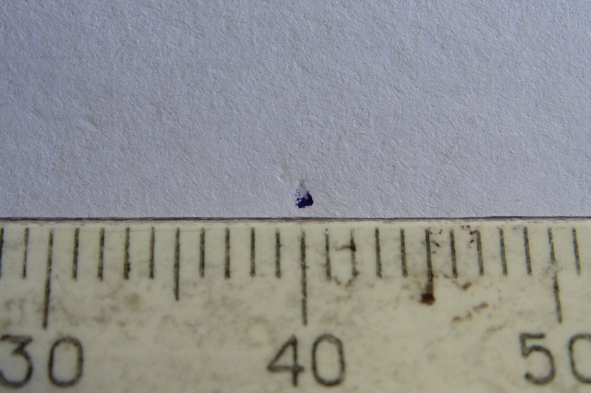 .  Canon EF-S 18-55mm f/3.5-5.6 IS  ߣ #0014